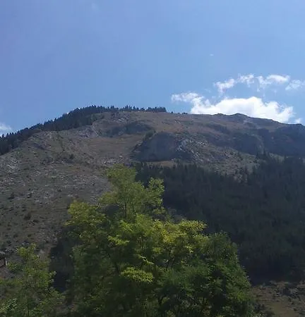 Edelvays House Guest house Trigrad