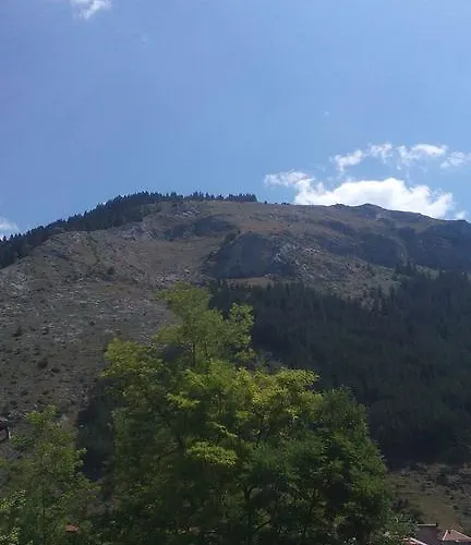 Edelvays House Guest house Trigrad