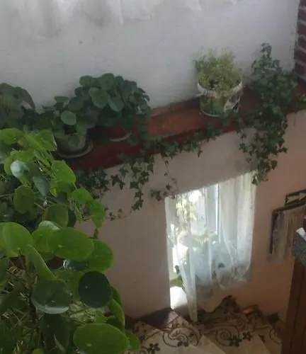 Guest house Edelvays House Trigrad